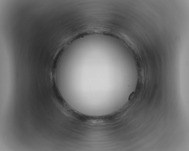 X0000112400500200908141008