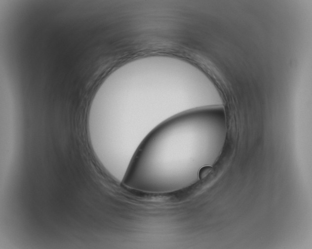 X0000112400501200908141008