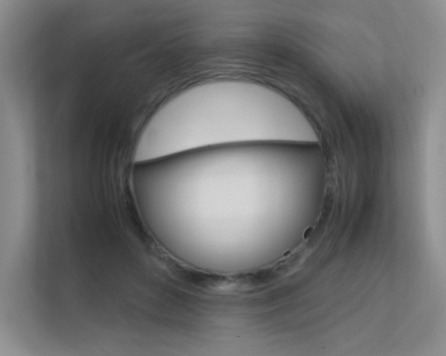 X0000112400504200908141008
