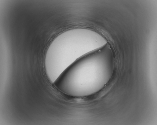 X0000112400509200908141008