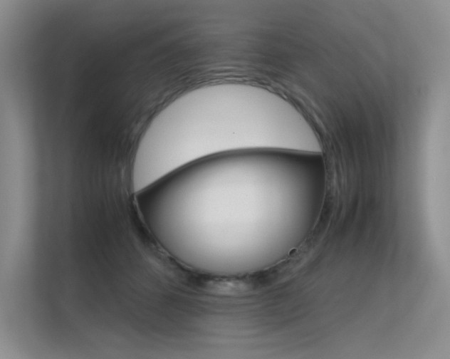 X0000112400512200908141008