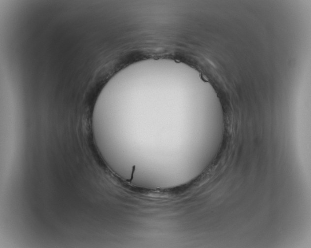 X0000112400515200908141008