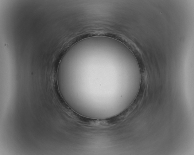 X0000112400517200908141008