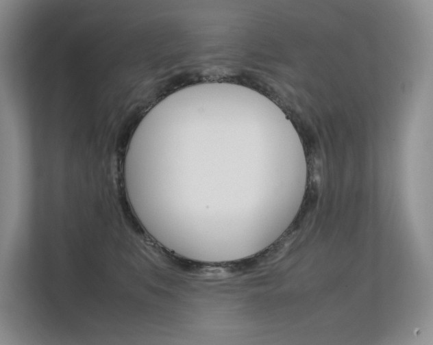 X0000112400519200908141008