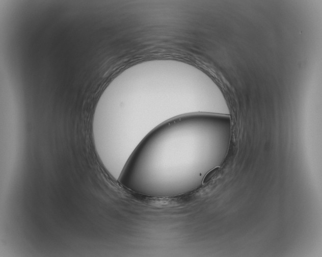 X0000112400521200908141008
