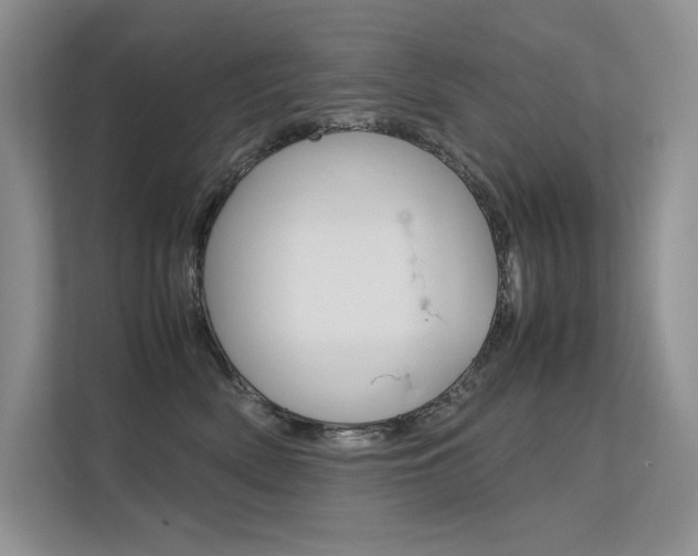 X0000112400522200908141008
