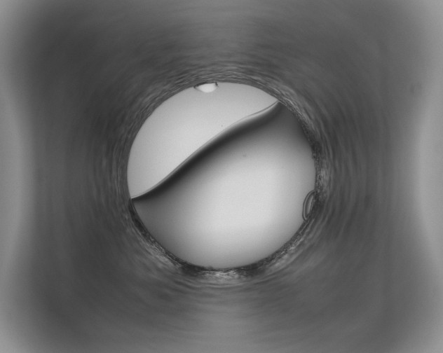 X0000112400525200908141008
