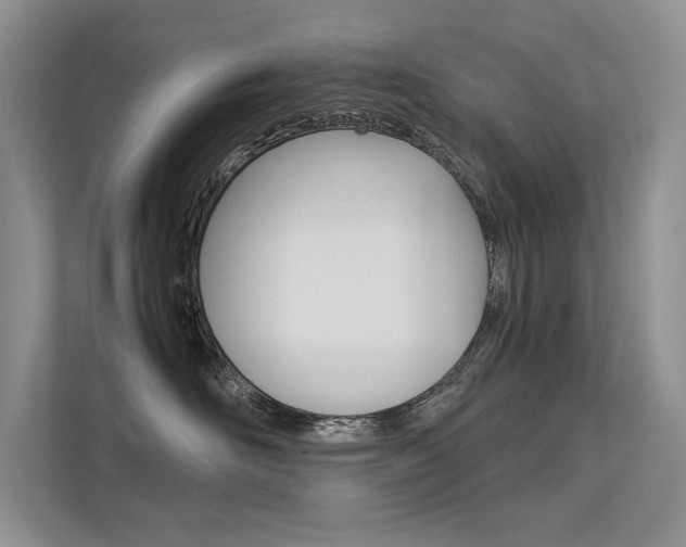 X0000112400526200908141008