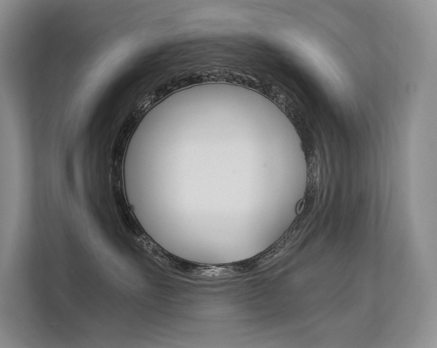 X0000112400527200908141008