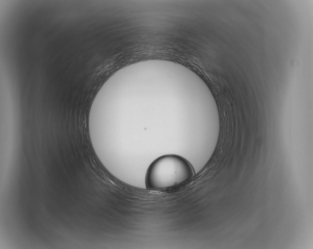 X0000112400528200908141008