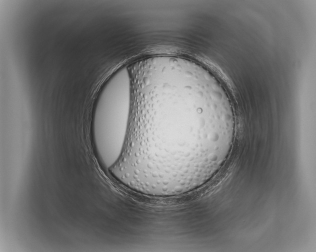 X0000112400529200908141007
