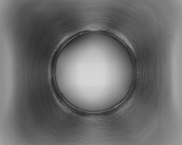 X0000112400530200908141007