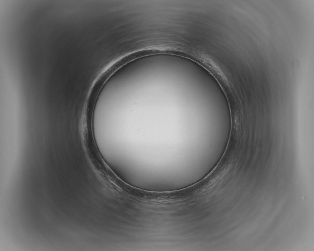 X0000112400532200908141007