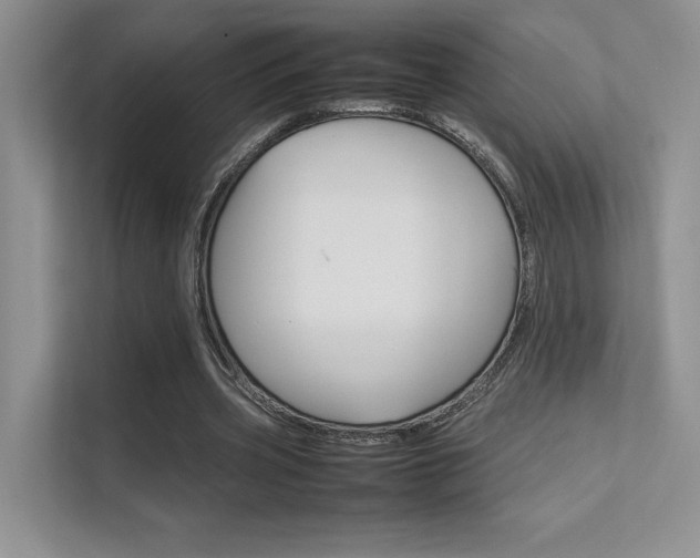 X0000112400533200908141007