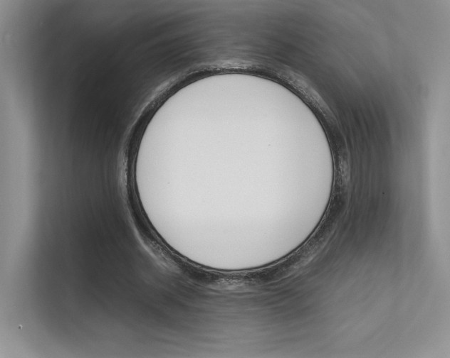 X0000112400534200908141007