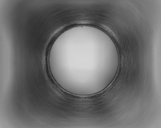 X0000112400535200908141007