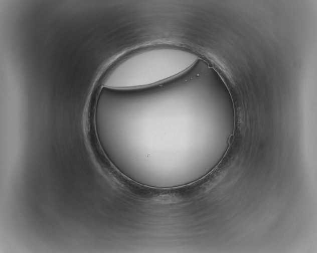 X0000112400536200908141007