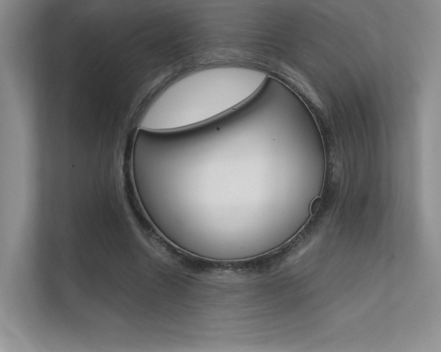 X0000112400538200908141007