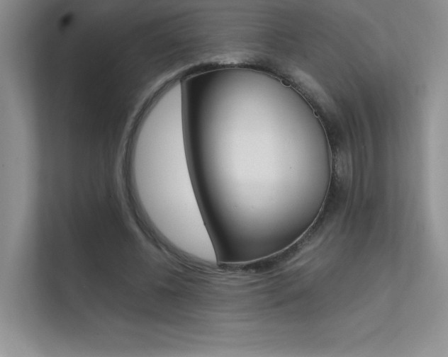 X0000112400540200908141007