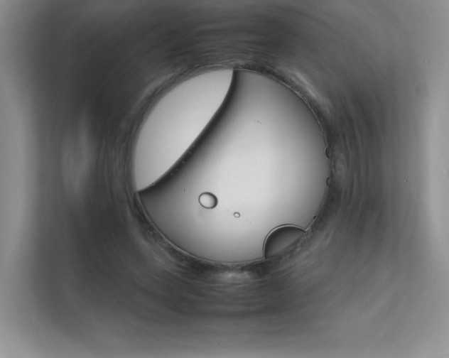 X0000112400543200908141007