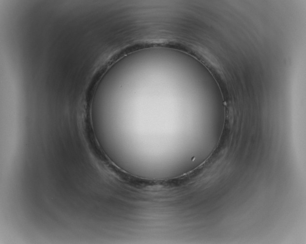X0000112400544200908141007
