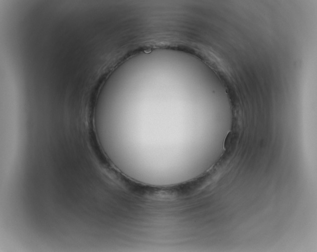 X0000112400546200908141007