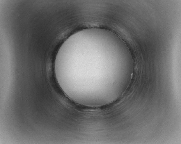 X0000112400548200908141007