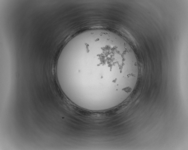 X0000112400549200908141007