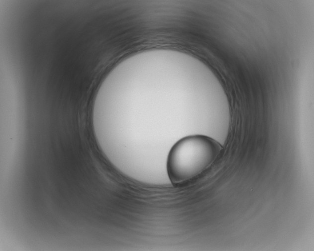 X0000112400552200908141007