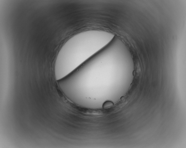 X0000112400559200908141007