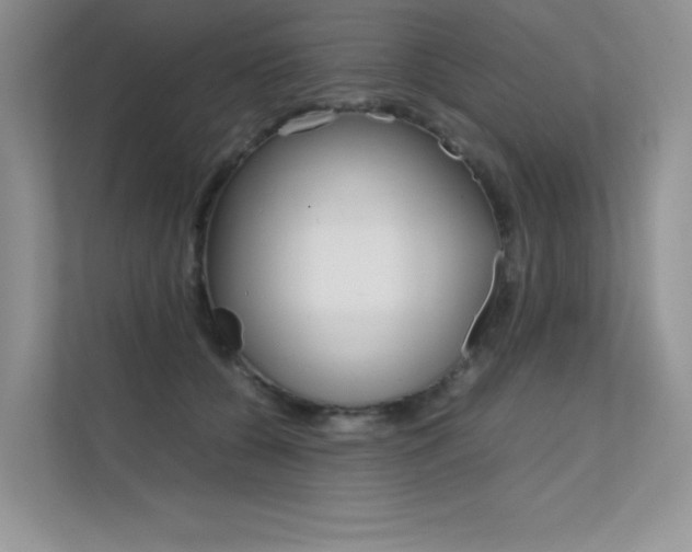 X0000112400560200908141007