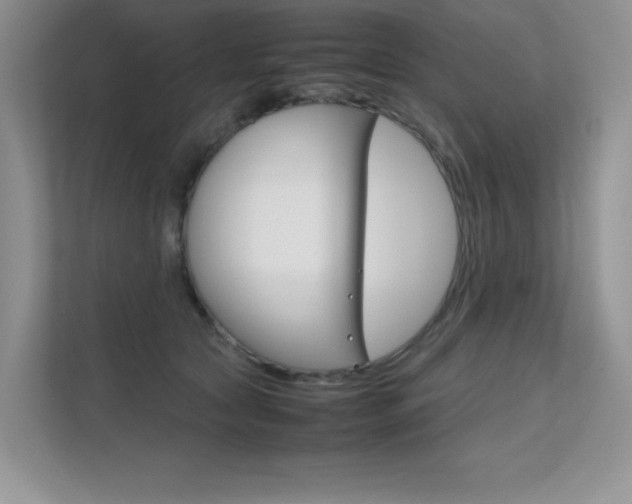 X0000112400561200908141007
