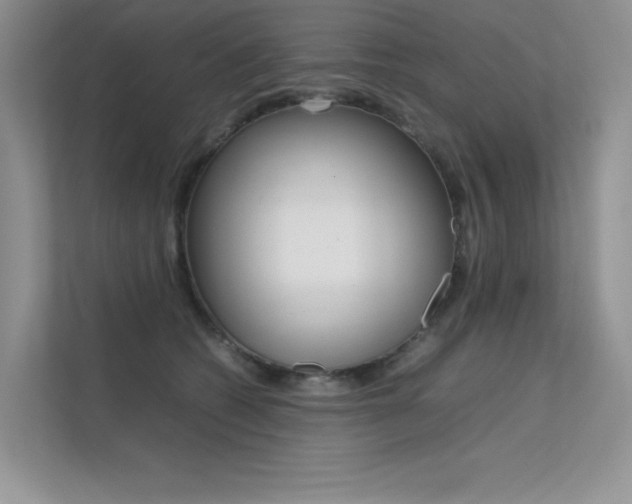 X0000112400562200908141007