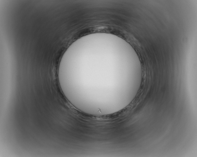 X0000112400565200908141007