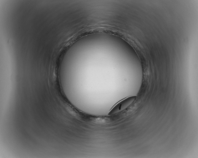 X0000112400566200908141007