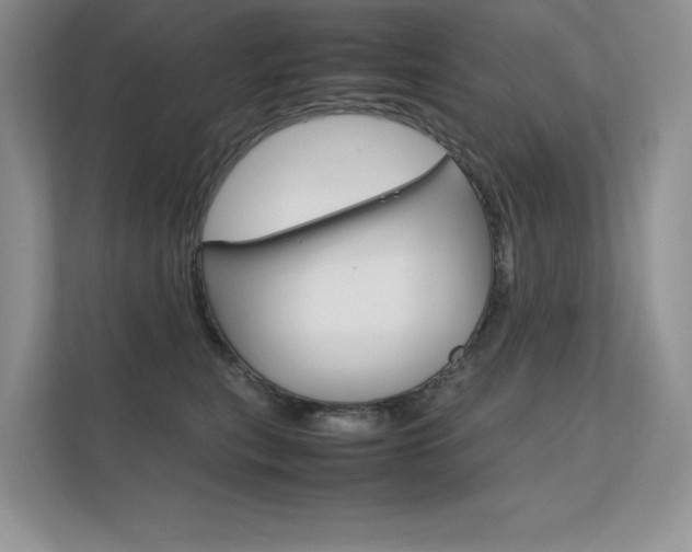 X0000112400567200908141007