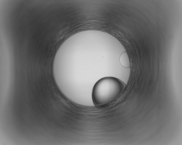 X0000112400568200908141007