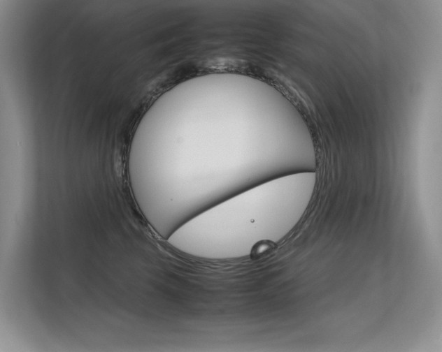 X0000112400569200908141007