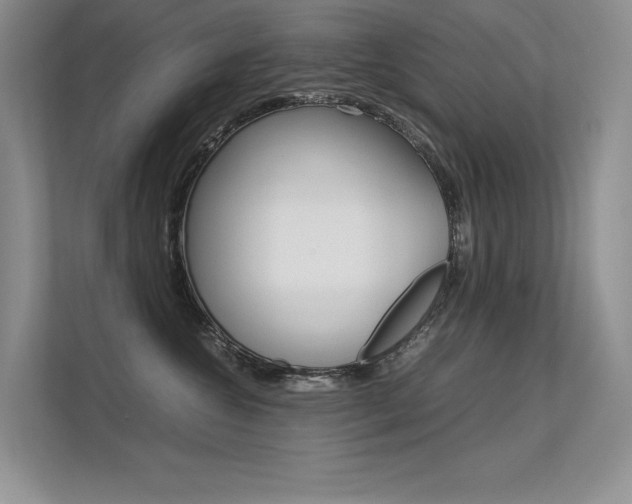 X0000112400572200908141008