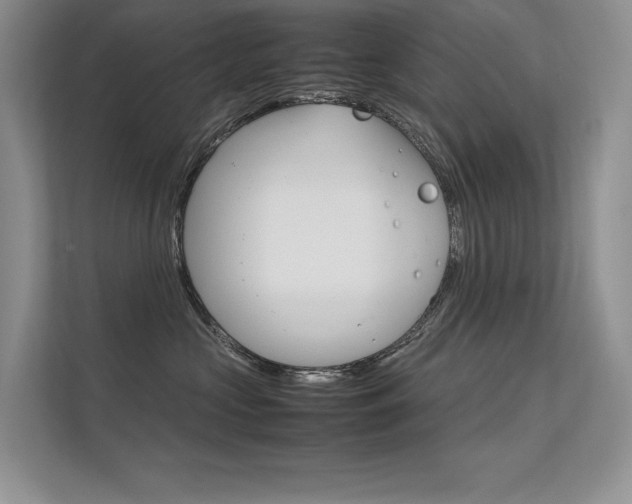 X0000112400573200908141008