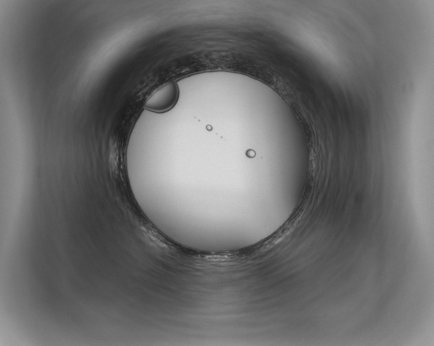 X0000112400574200908141008