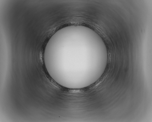 X0000112400575200908141008