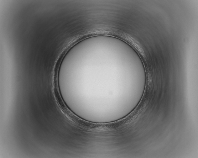 X0000112400578200908141007