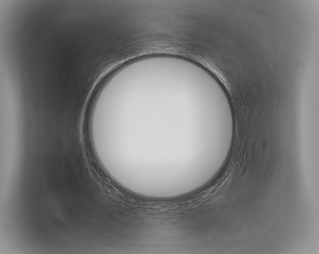 X0000112400579200908141007