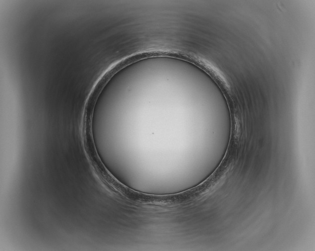 X0000112400580200908141007