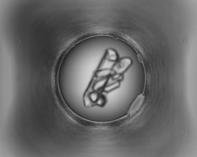 X0000112400581200908141007