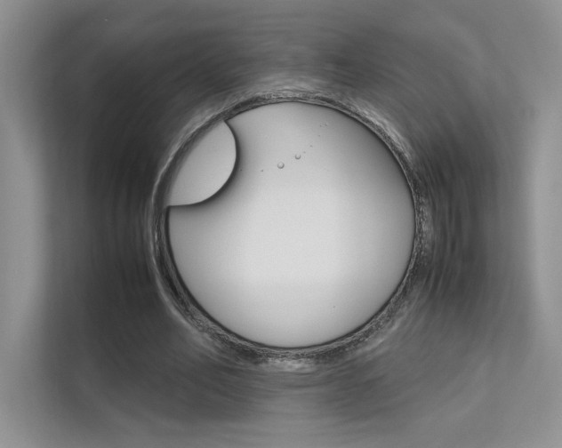 X0000112400582200908141007
