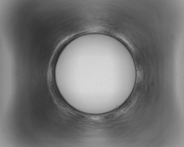 X0000112400583200908141007