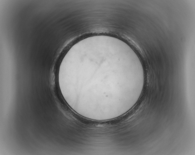 X0000112400584200908141007