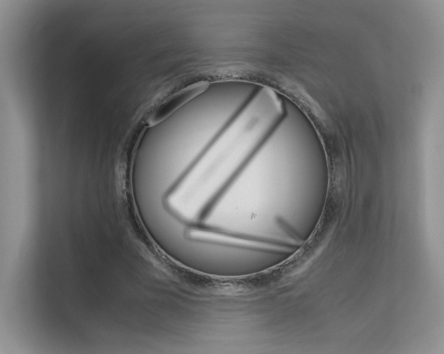 X0000112400585200908141007